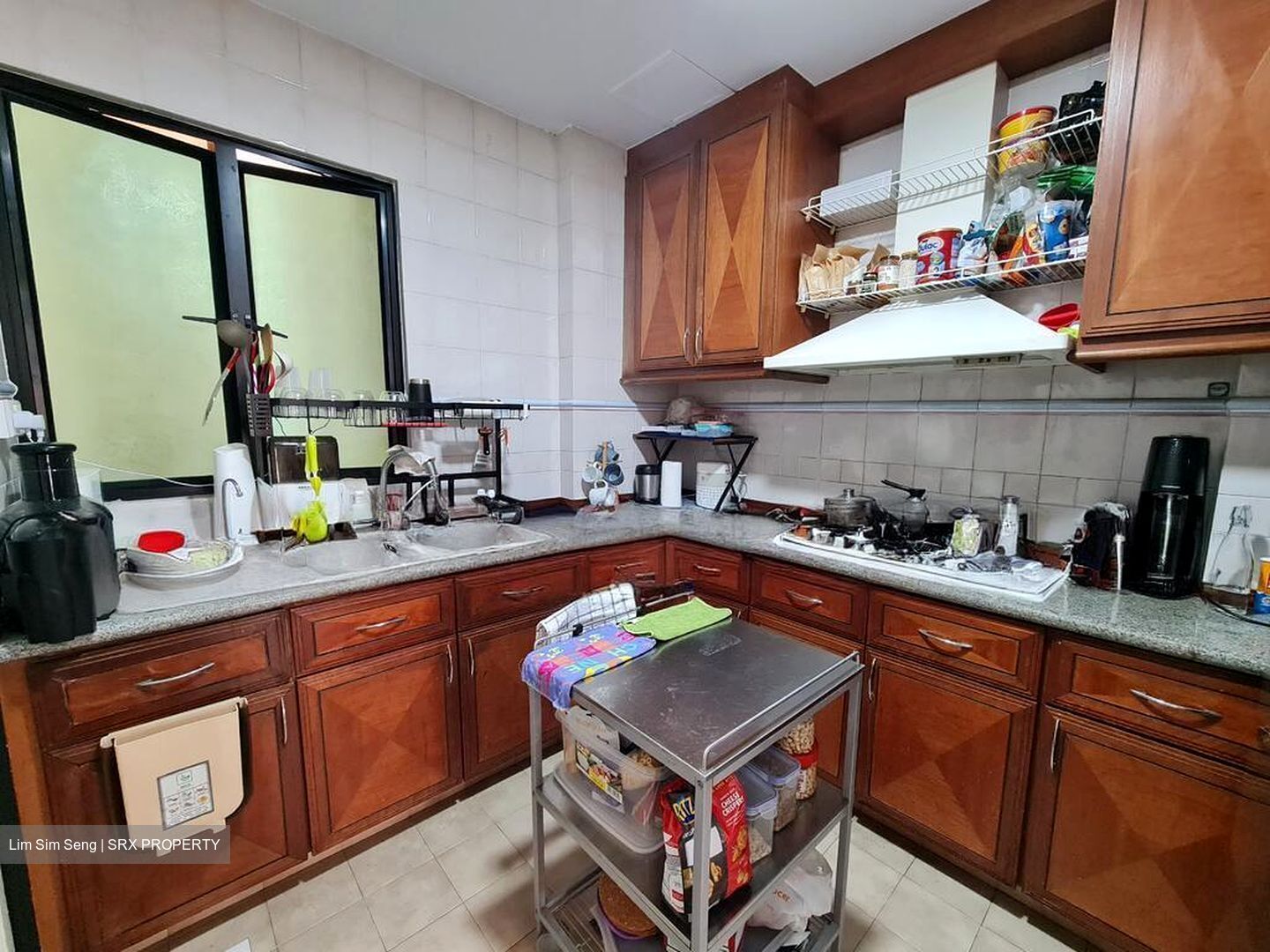 Dover Parkview (D5), Condominium #572269101